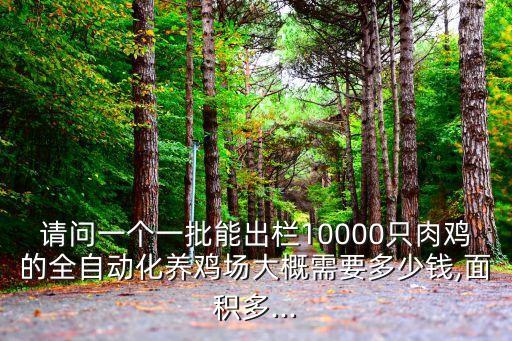 請問一個一批能出欄10000只肉雞的全自動化養(yǎng)雞場大概需要多少錢,面積多...