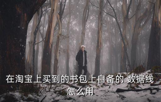 在淘寶上買到的書包上自備的 數(shù)據(jù)線怎么用