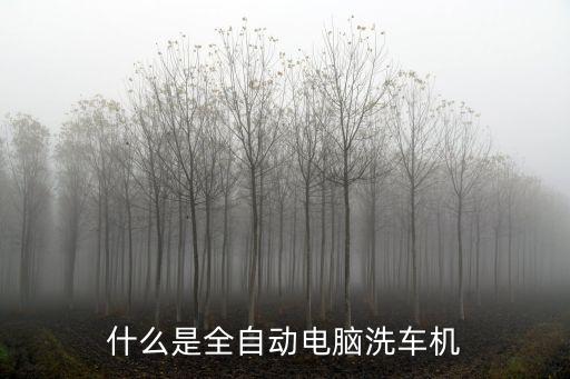 什么是全自動電腦洗車機