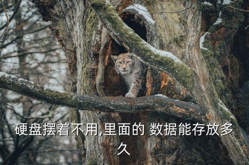 硬盤擺著不用,里面的 數(shù)據(jù)能存放多久