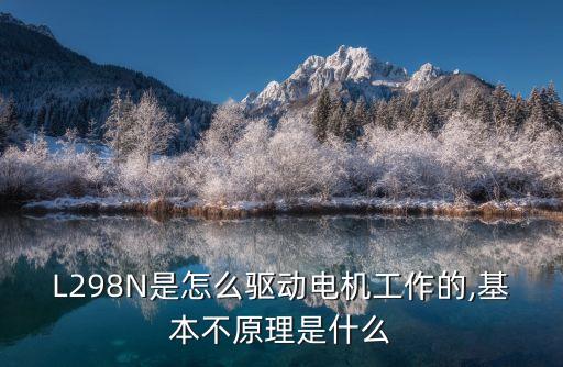 L298N是怎么驅(qū)動(dòng)電機(jī)工作的,基本不原理是什么