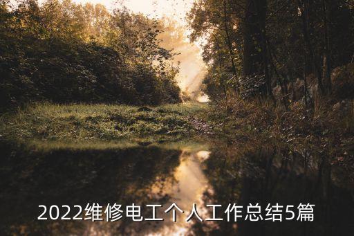 2022維修電工個人工作總結(jié)5篇