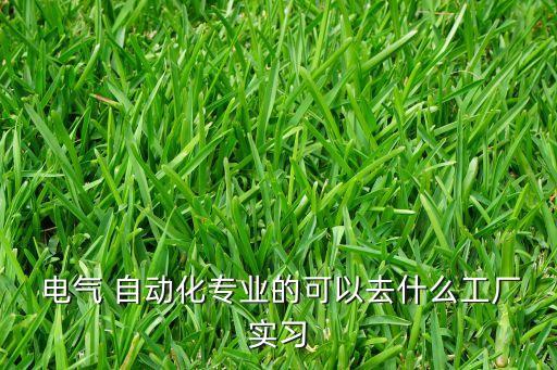  電氣 自動(dòng)化專業(yè)的可以去什么工廠實(shí)習(xí)