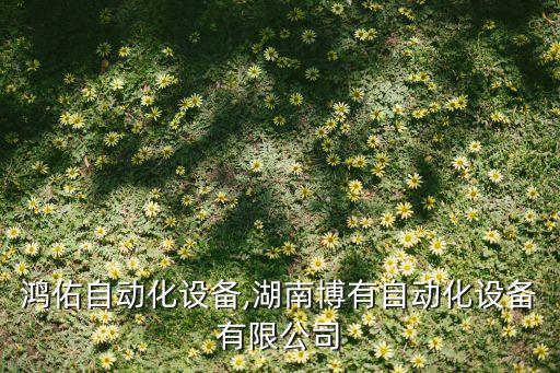 湖南鴻佑自動化設備,湖南博有自動化設備有限公司