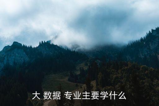 大 數(shù)據(jù) 專業(yè)主要學(xué)什么