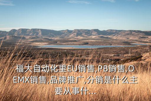 福大自動化里EU銷售,PB銷售,OEMX銷售,品牌推廣,分銷是什么主要從事什...
