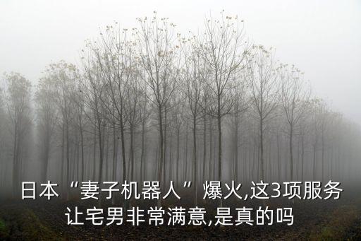 日本“妻子機(jī)器人”爆火,這3項(xiàng)服務(wù)讓宅男非常滿(mǎn)意,是真的嗎