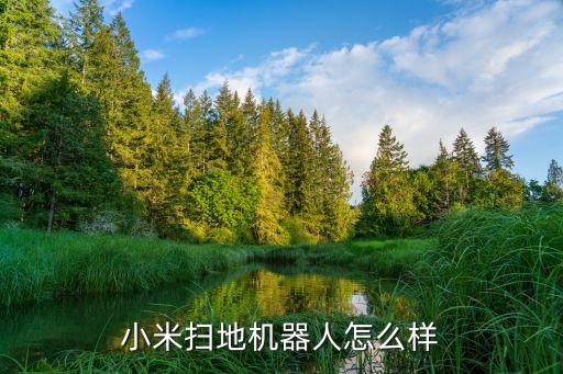 機(jī)器人掃地機(jī)遙控器,科沃斯掃地機(jī)器人怎么啟動(dòng)不了?