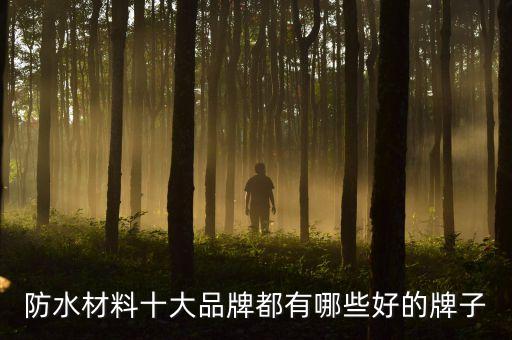 防水材料十大品牌都有哪些好的牌子