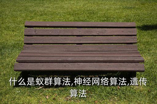 什么是蟻群算法,神經(jīng)網(wǎng)絡(luò)算法,遺傳算法