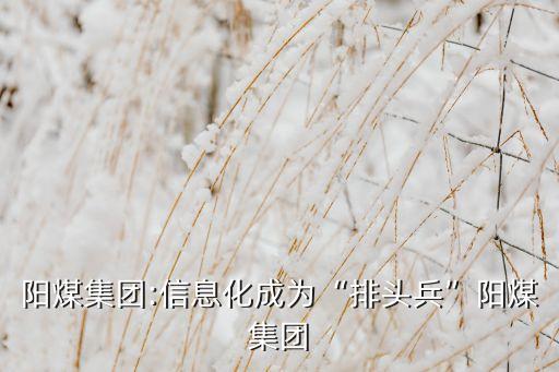 陽煤集團(tuán):信息化成為“排頭兵”陽煤集團(tuán)