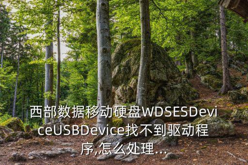 西部數(shù)據(jù)移動硬盤WDSESDeviceUSBDevice找不到驅(qū)動程序,怎么處理...