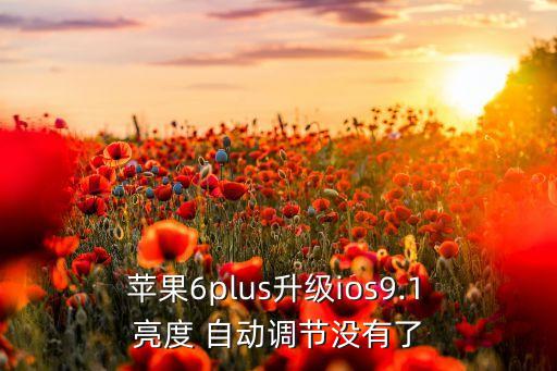  蘋果6plus升級ios9.1 亮度 自動調(diào)節(jié)沒有了