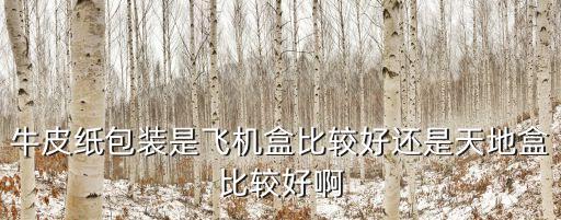牛皮紙包裝是飛機(jī)盒比較好還是天地盒比較好啊
