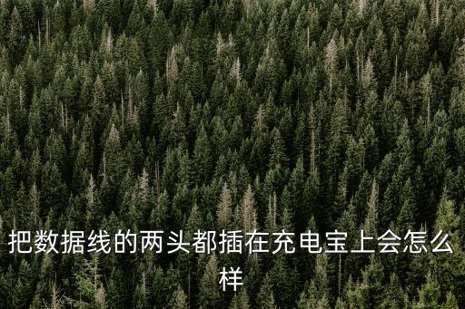 把數(shù)據(jù)線的兩頭都插在充電寶上會怎么樣