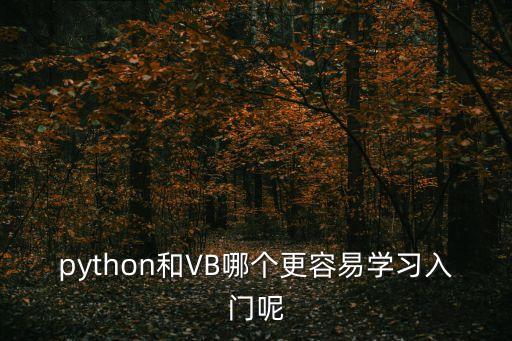 python和VB哪個(gè)更容易學(xué)習(xí)入門(mén)呢