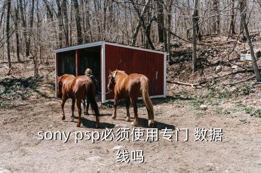 psp用什么數(shù)據(jù)線,PSP數(shù)據(jù)線可以充電嗎