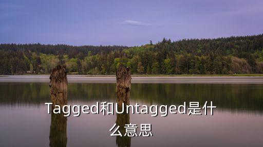 Tagged和Untagged是什么意思