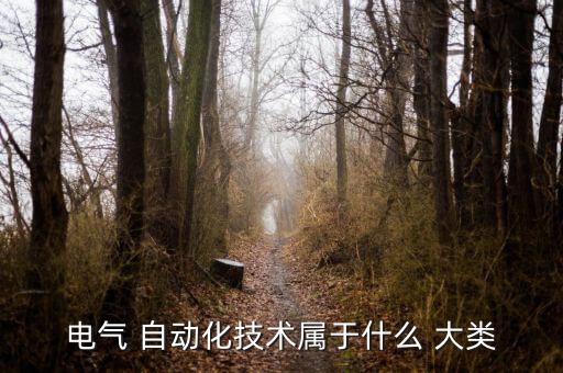 電氣 自動化技術(shù)屬于什么 大類