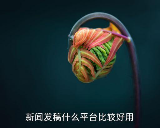 新聞發(fā)稿什么平臺(tái)比較好用