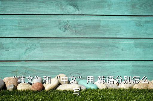 自動(dòng)化設(shè)備韓語(yǔ)怎么寫(xiě)
