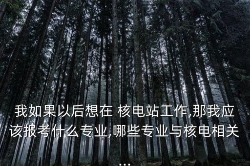 我如果以后想在 核電站工作,那我應(yīng)該報考什么專業(yè),哪些專業(yè)與核電相關(guān)...