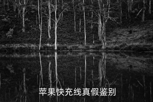  蘋果快充線真假鑒別