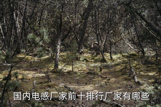  國(guó)內(nèi)電感廠家前十排行廠家有哪些