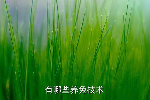 自動化養(yǎng)兔養(yǎng)殖設備,發(fā)酵床養(yǎng)兔有什么好處?