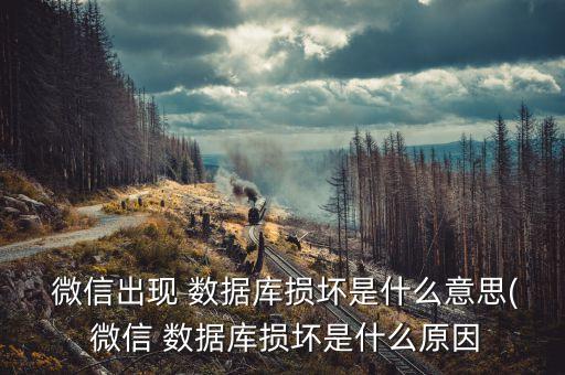  微信出現(xiàn) 數(shù)據(jù)庫損壞是什么意思( 微信 數(shù)據(jù)庫損壞是什么原因