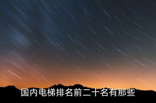 國內(nèi)電梯排名前二十名有那些
