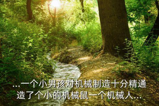 ...一個小男孩對機(jī)械制造十分精通造了個小的機(jī)械鼠一個機(jī)械人...