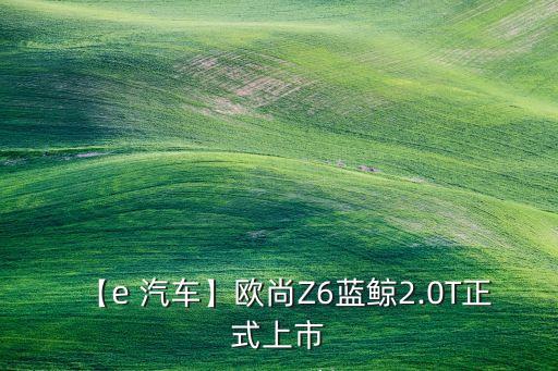 【e 汽車】歐尚Z6藍(lán)鯨2.0T正式上市