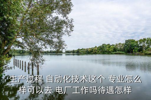 生產(chǎn)過程 自動(dòng)化技術(shù)這個(gè) 專業(yè)怎么樣可以去 電廠工作嗎待遇怎樣