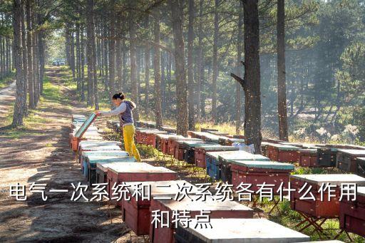 電氣一次系統(tǒng)和二次系統(tǒng)各有什么作用和特點