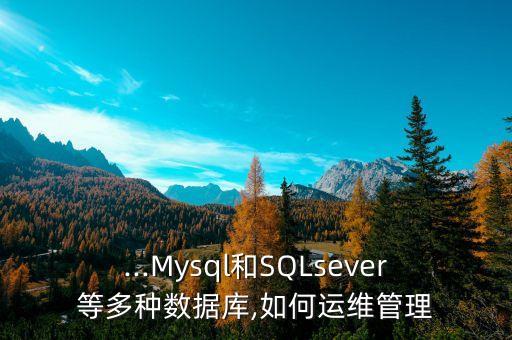 ...Mysql和SQLsever等多種數(shù)據(jù)庫,如何運維管理