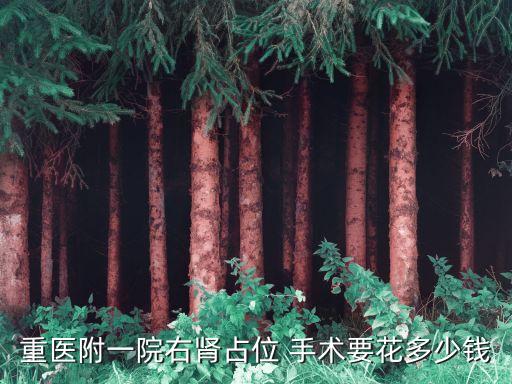重醫(yī)附一院右腎占位 手術(shù)要花多少錢