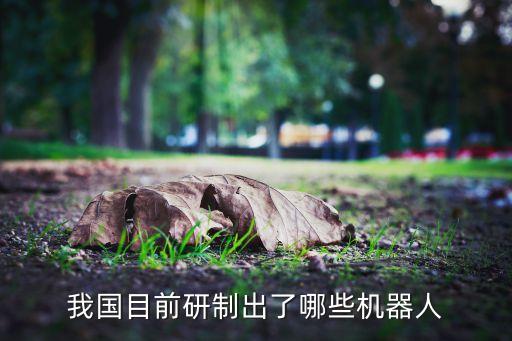 我國目前研制出了哪些機(jī)器人