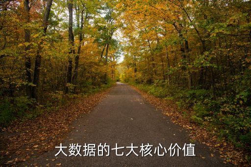 大數(shù)據(jù)的七大核心價(jià)值