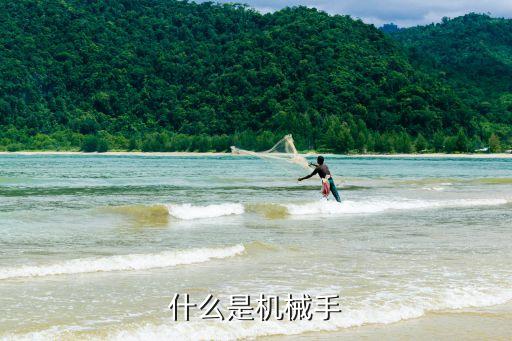 什么是機(jī)械手