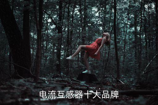 電流互感器十大品牌