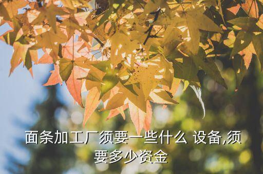  面條加工廠須要一些什么 設備,須要多少資金