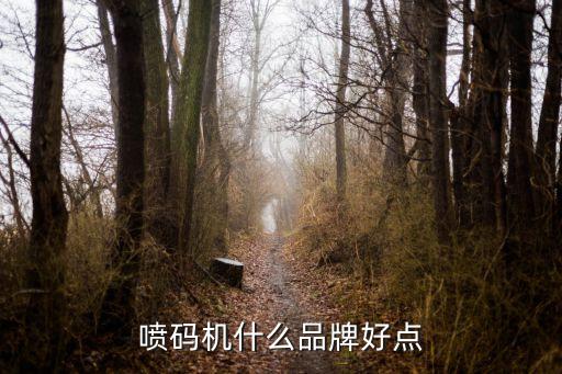 噴碼機(jī)什么品牌好點(diǎn)