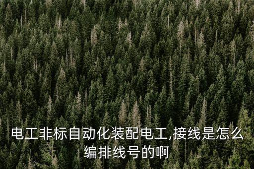 非標自動化設備怎么畫,非標自動化設備有何特色?