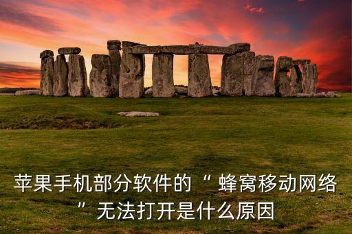 蘋果手機(jī)部分軟件的“ 蜂窩移動(dòng)網(wǎng)絡(luò)”無(wú)法打開是什么原因