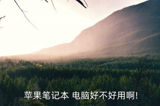 電氣自動化 用蘋果電腦