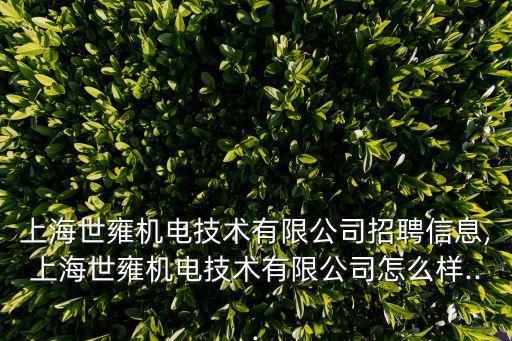上海世雍機(jī)電技術(shù)有限公司招聘信息,上海世雍機(jī)電技術(shù)有限公司怎么樣...