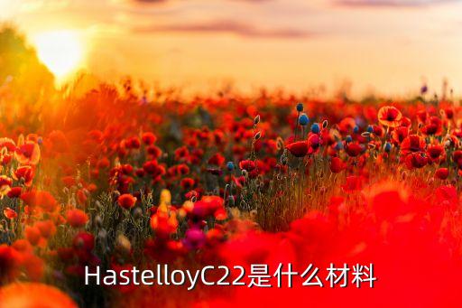 HastelloyC22是什么材料