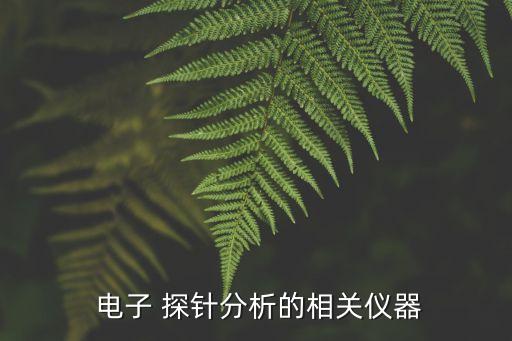  電子 探針分析的相關儀器
