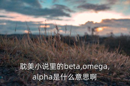 耽美小說里的beta,omega,alpha是什么意思啊